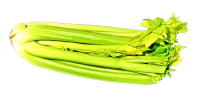 sănătate țelină