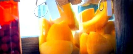 sterilizált