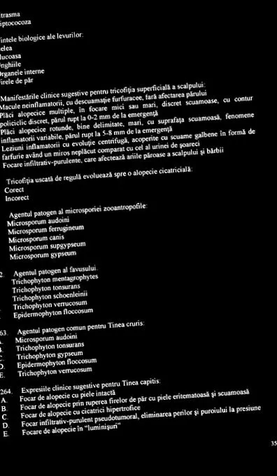 ízületének