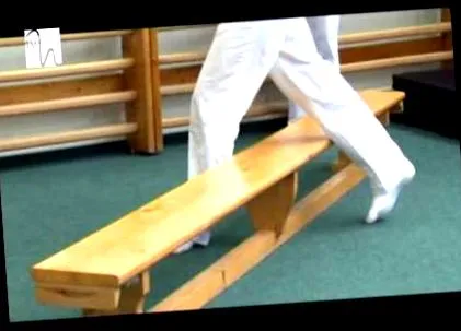 csípőízület