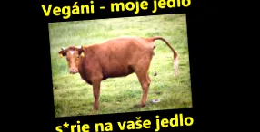 stil