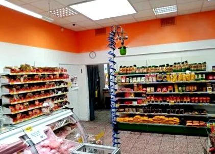 magazinele fabricile