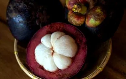 mangostanul