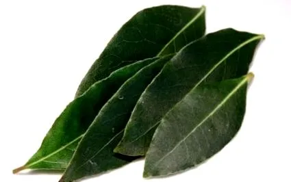 naturpeak
