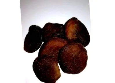 biolink
