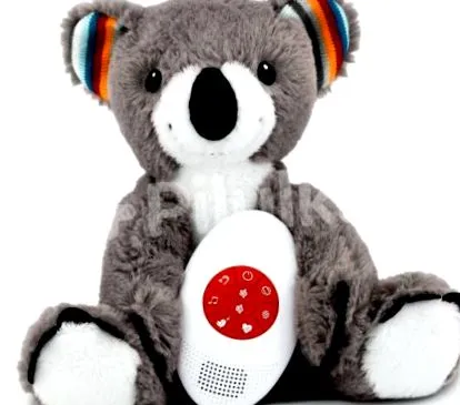 koala koala