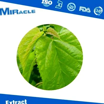 екстракт екстракт