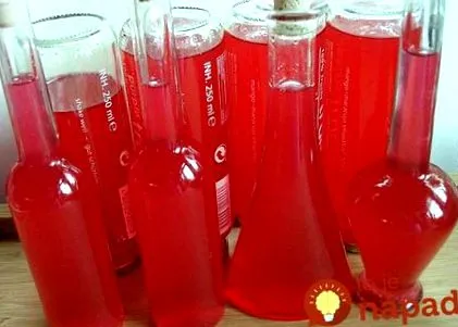rubarbă siropul