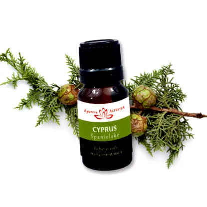 cipru cypress