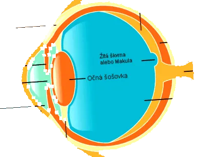 Pigmentul macular