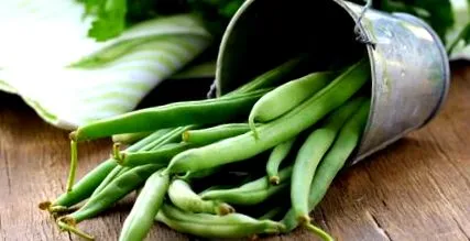verde fasole