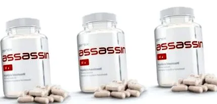 assassin assassin