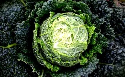 találkoztál superfoods-szal