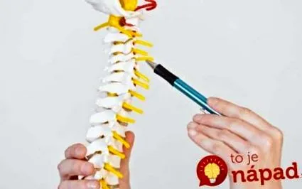 simple exerciții