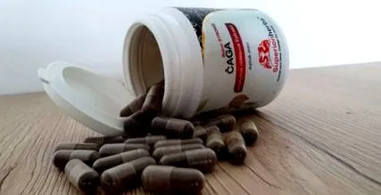 Chaga conține