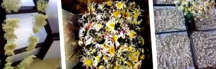 moduri moduri