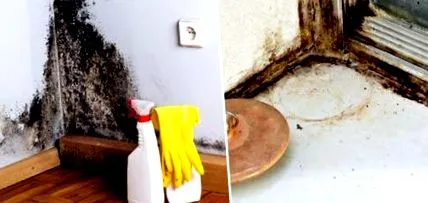 miraculoasă