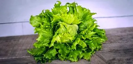 грижим морски свинчета