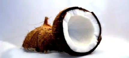 efecte efecte