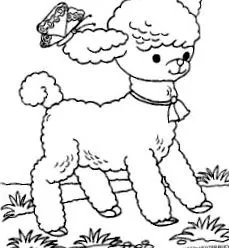 parohia