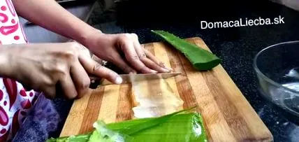vindecă aloe