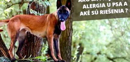 alergie ciuperci
