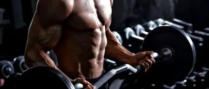 procese anabolism