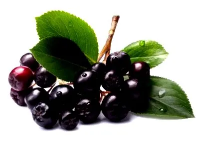 detoxifiere