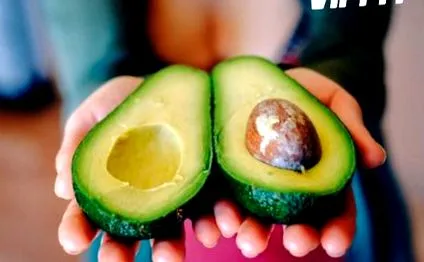avocado bază