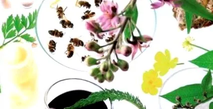 homeopatie