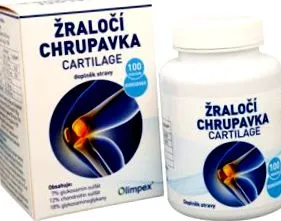 rechin cartilaj