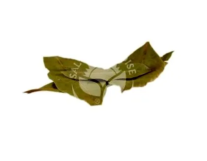 100g laurus
