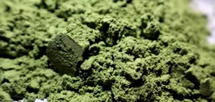 chlorella