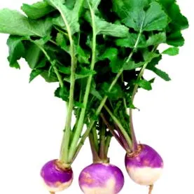 elhagyja