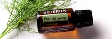 fennel