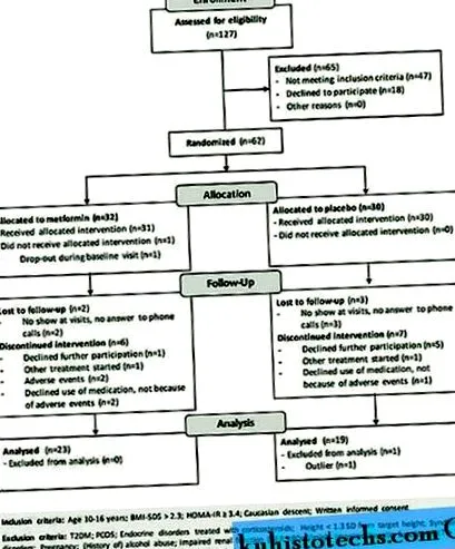 termen lung