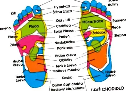 detoxifiere detoxifiere