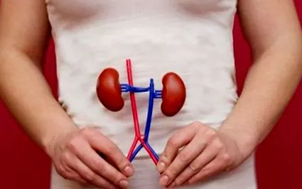renal