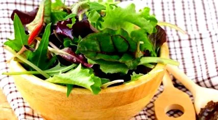 salad