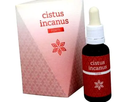 incanus incanus