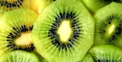 kiwi