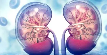 здоров здоров