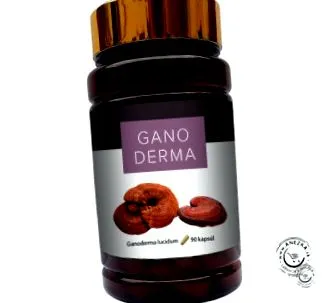 ganoderma