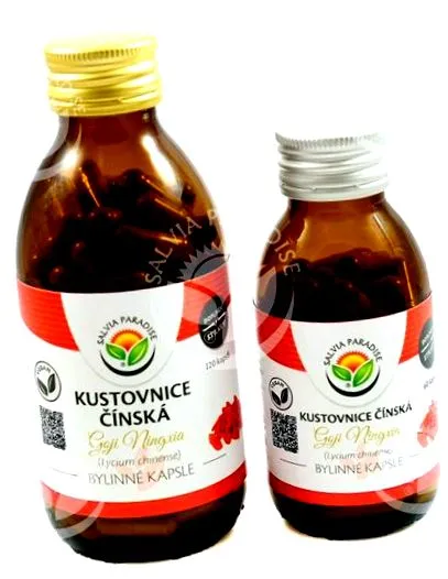 китайска