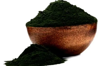 spirulina spirulina