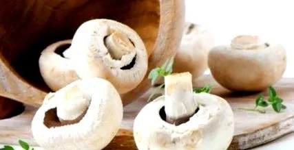 tipp sütni