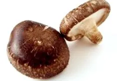 ciuperci Ciuperci