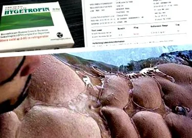 factory hygetropin