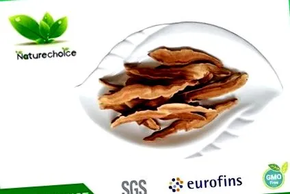 organice reishi