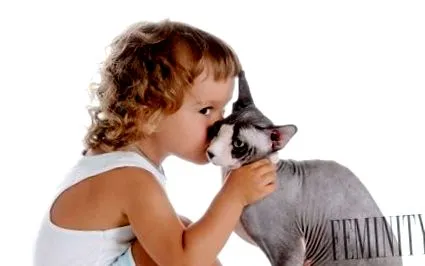 animale animale